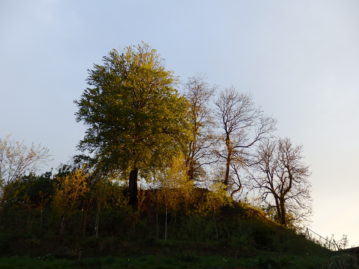 Première rencontre Entreprises aux JARDINS D’ARQUENNES